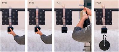 Branching Vine Robots for Unmapped Environments